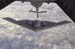 001005-F-1166S-019