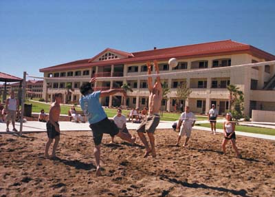 volleyball